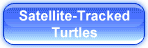 satellite turtles